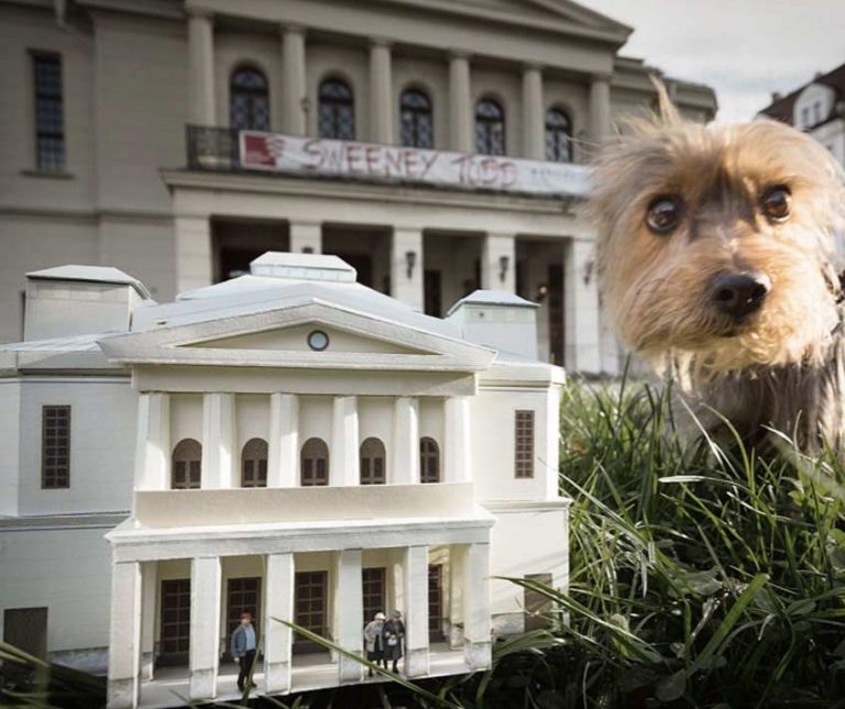 Hund steht im Gras vor einem Gebäudemodell aus Papier, im Hintergrund ein Theater.